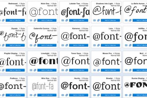 Avedon Google WebFonts WordPress Font Icons