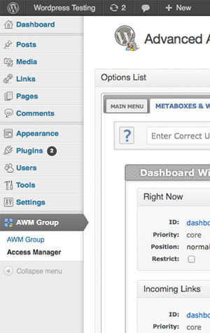 Backend Screenshot - AAM WP Plugin