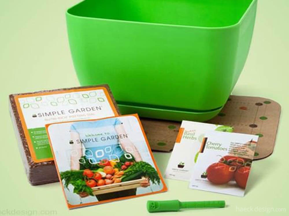 Simple Garden - Tiny Garden Ideas
