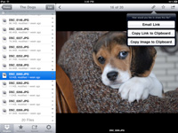 Dropbox on iPad Dropbox on iPad