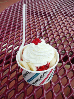 Goodberrys Frozen Custard