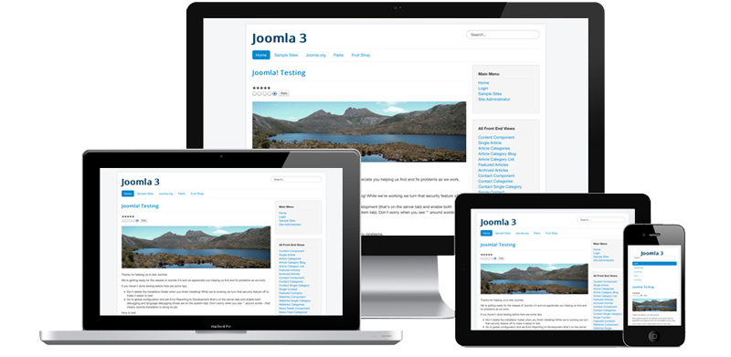 Joomla Basics - Screenshot