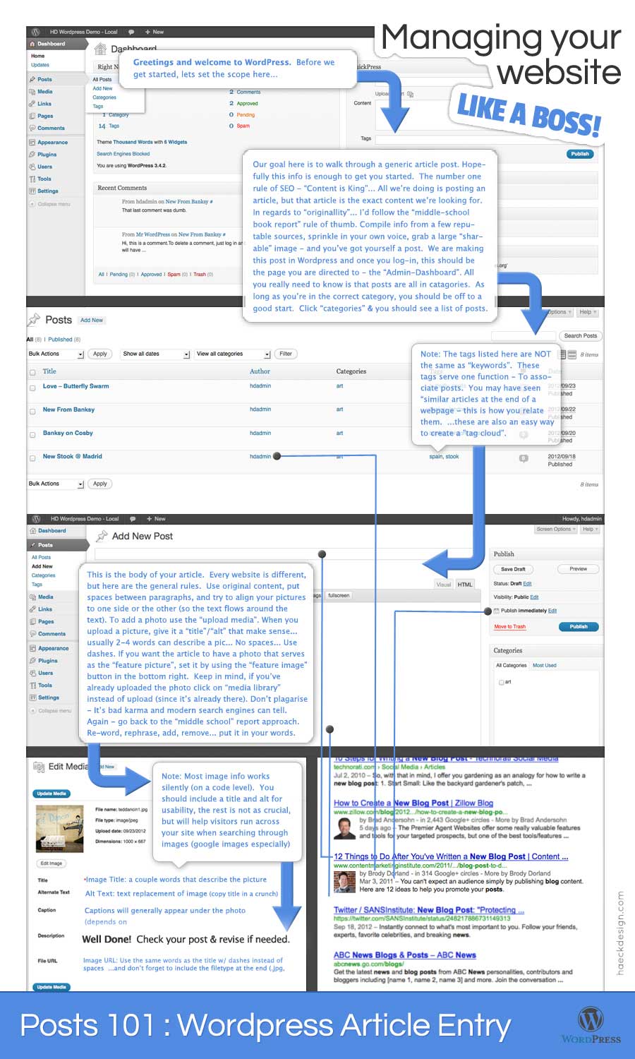 Wordpress Search Meta Infographic